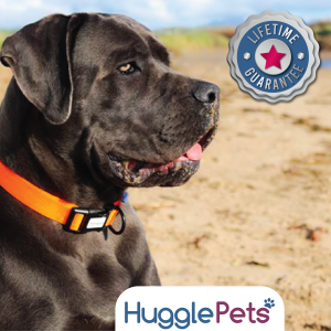 HugglePets Header Sticker 1000 x 290mm HPOS5