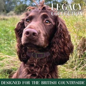 Legacy Header Sticker 1000 x 290mm HPOS1
