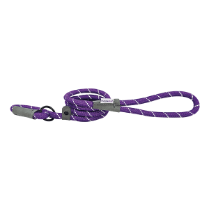 HugglePets Reflective Rope Slip Dog Lead