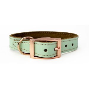 Skye & Murphy Leather Collar Pistachio - HugglePets