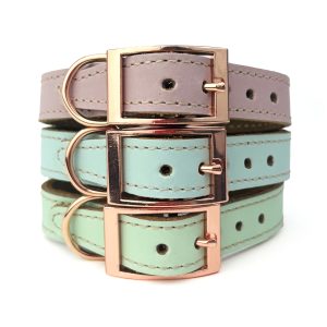Skye & Murphy Leather Collar - HugglePets