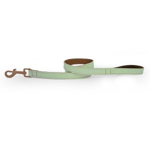 Skye & Murphy Padded Leather Dog Lead - Pistachio