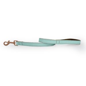 Skye & Murphy Padded Leather Dog Lead - Ocean